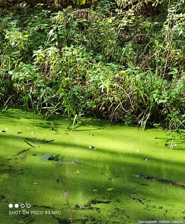 Лина и осень — Коллекционные куклы разных авторов (Разное): редкие бренды