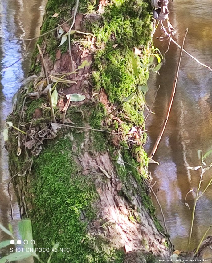 Лина и осень — Коллекционные куклы разных авторов (Разное): редкие бренды