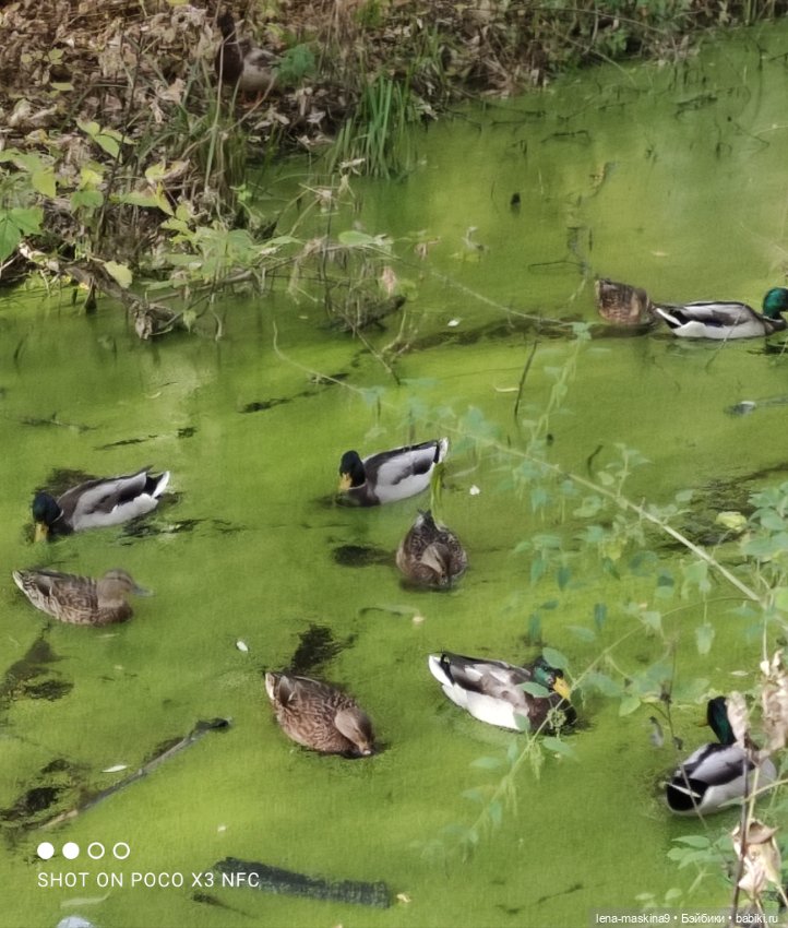 Лина и осень — Коллекционные куклы разных авторов (Разное): редкие бренды