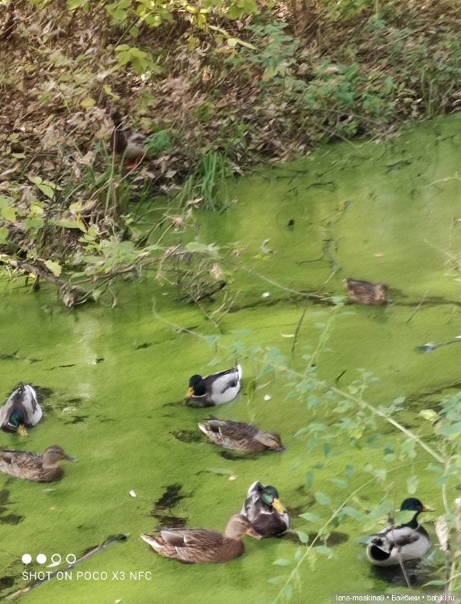 Лина и осень — Коллекционные куклы разных авторов (Разное): редкие бренды