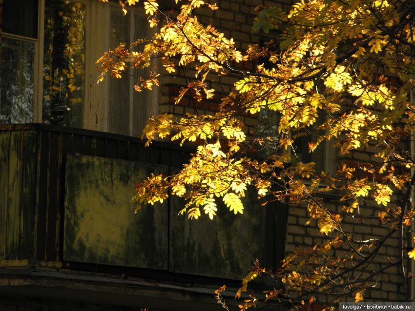 И снова Флёр и Дора World of Love 1970х