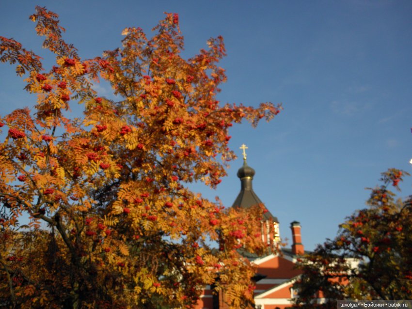 И снова Флёр и Дора World of Love 1970х (фото 8)