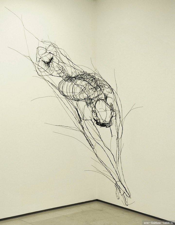 Скульптуры из проволоки от автора David Oliveira (фото 8)