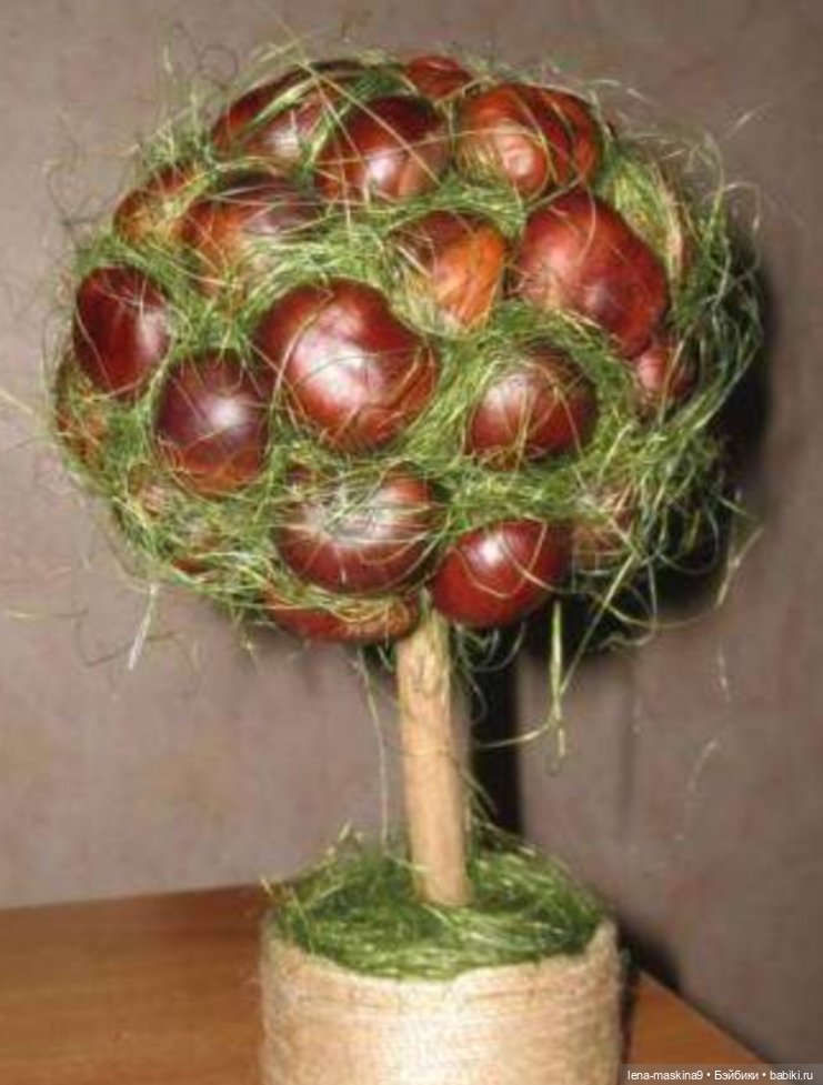 А Вы любите каштаны — Другие хобби и увлечения: сад