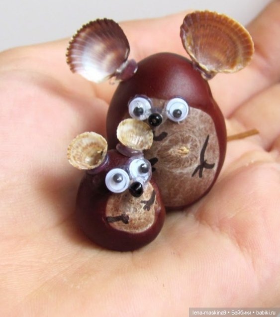 А Вы любите каштаны — Другие хобби и увлечения: сад (фото 8)