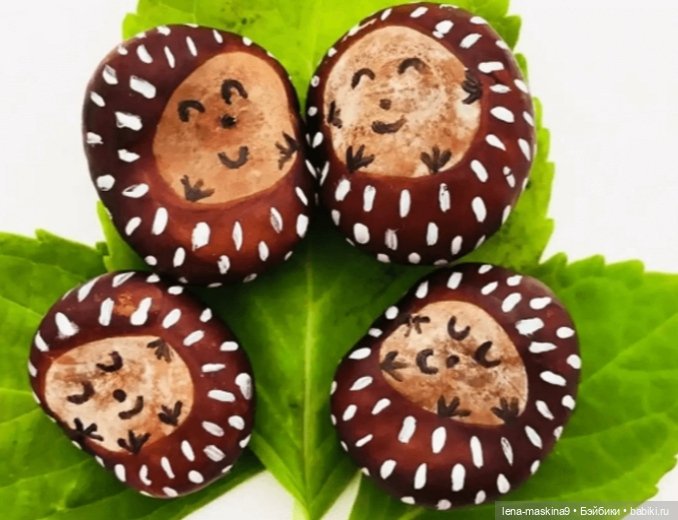 А Вы любите каштаны — Другие хобби и увлечения: сад