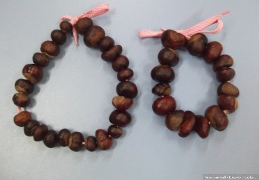 А Вы любите каштаны — Другие хобби и увлечения: сад