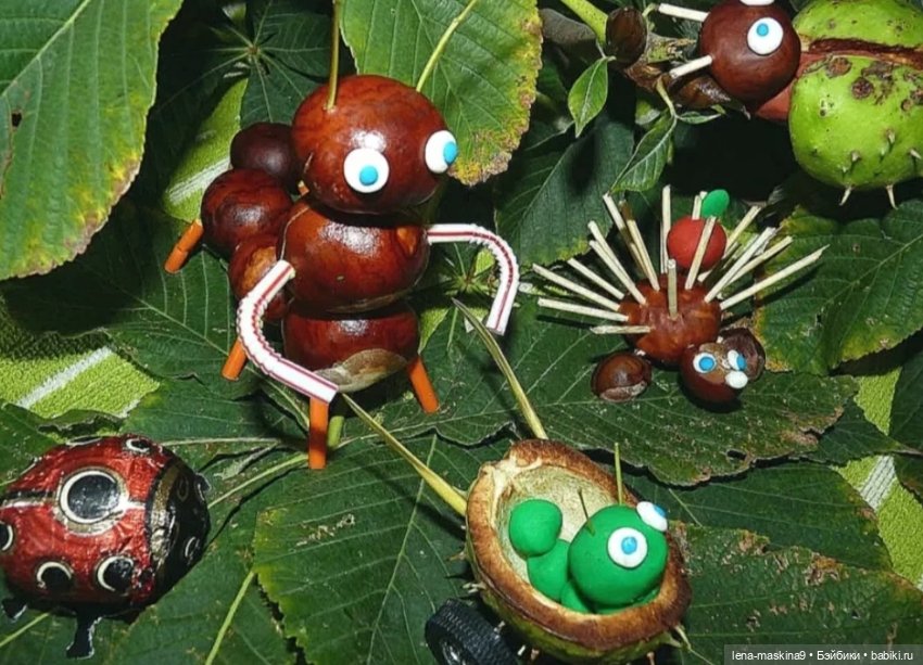 А Вы любите каштаны — Другие хобби и увлечения: сад