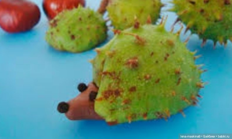 А Вы любите каштаны — Другие хобби и увлечения: сад