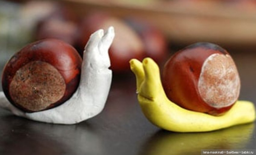 А Вы любите каштаны — Другие хобби и увлечения: сад (фото 10)