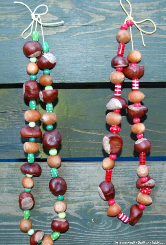 А Вы любите каштаны — Другие хобби и увлечения: сад