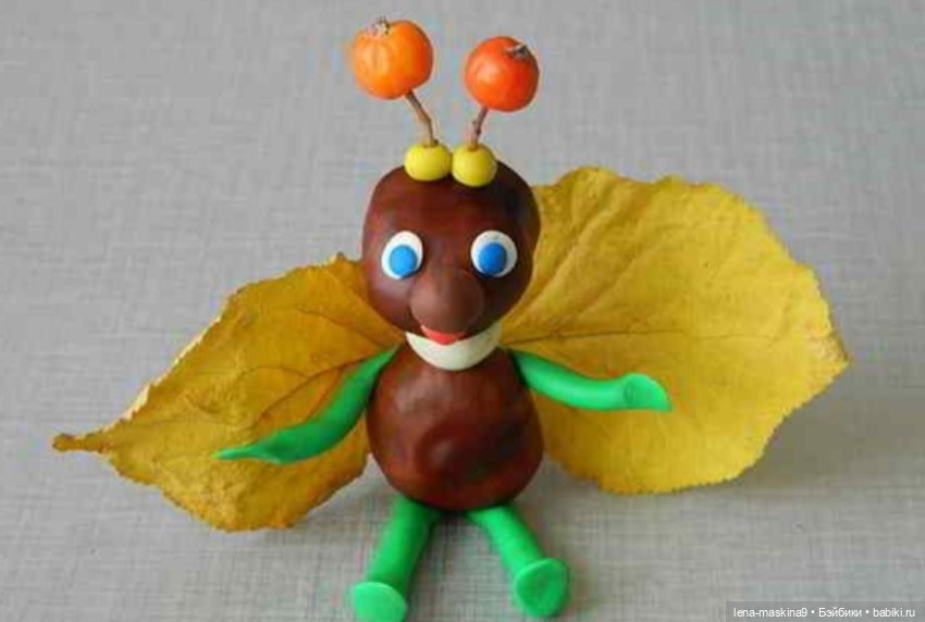 А Вы любите каштаны — Другие хобби и увлечения: сад