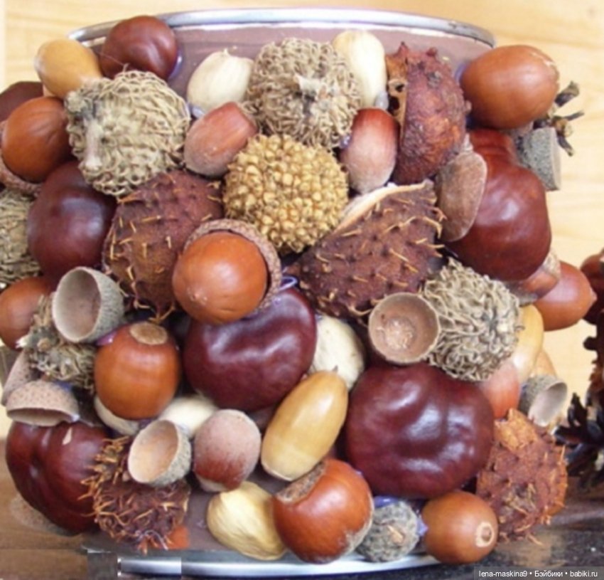 А Вы любите каштаны — Другие хобби и увлечения: сад