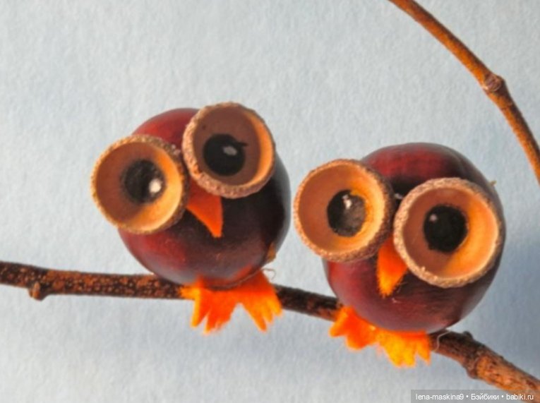 А Вы любите каштаны — Другие хобби и увлечения: сад