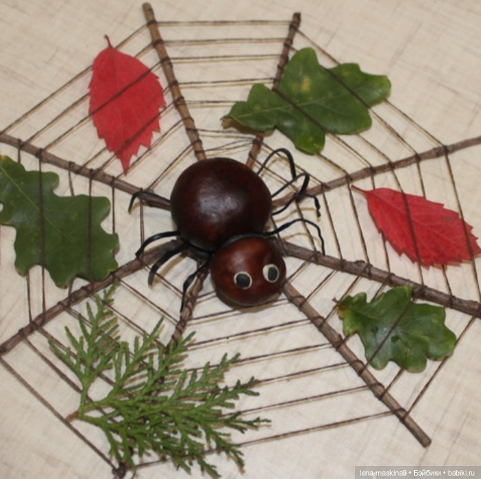 А Вы любите каштаны — Другие хобби и увлечения: сад