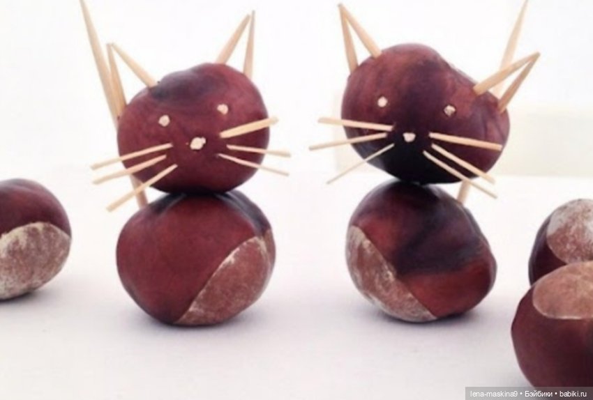 А Вы любите каштаны — Другие хобби и увлечения: сад