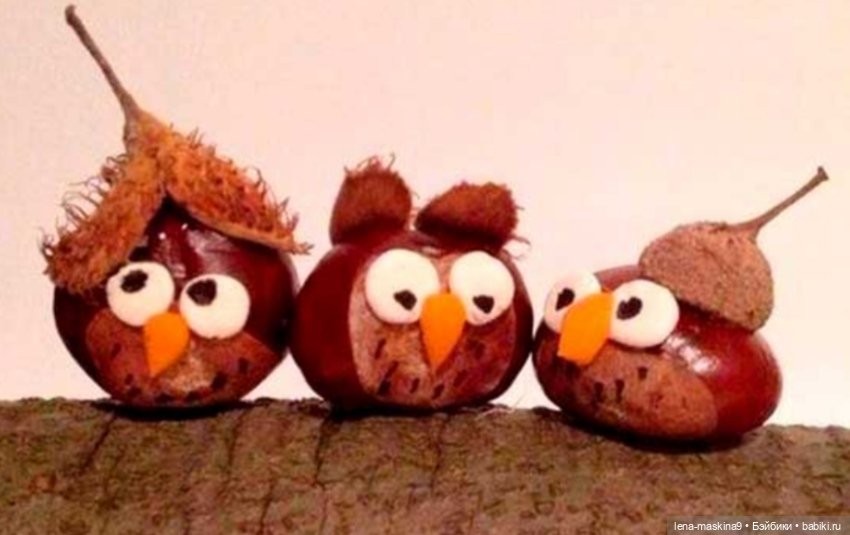 А Вы любите каштаны — Другие хобби и увлечения: сад