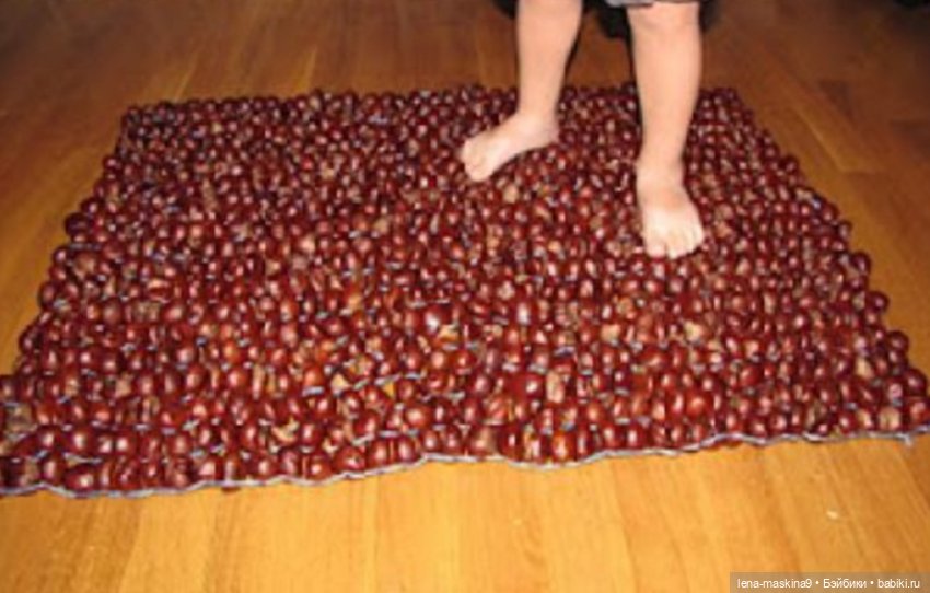 А Вы любите каштаны — Другие хобби и увлечения: сад