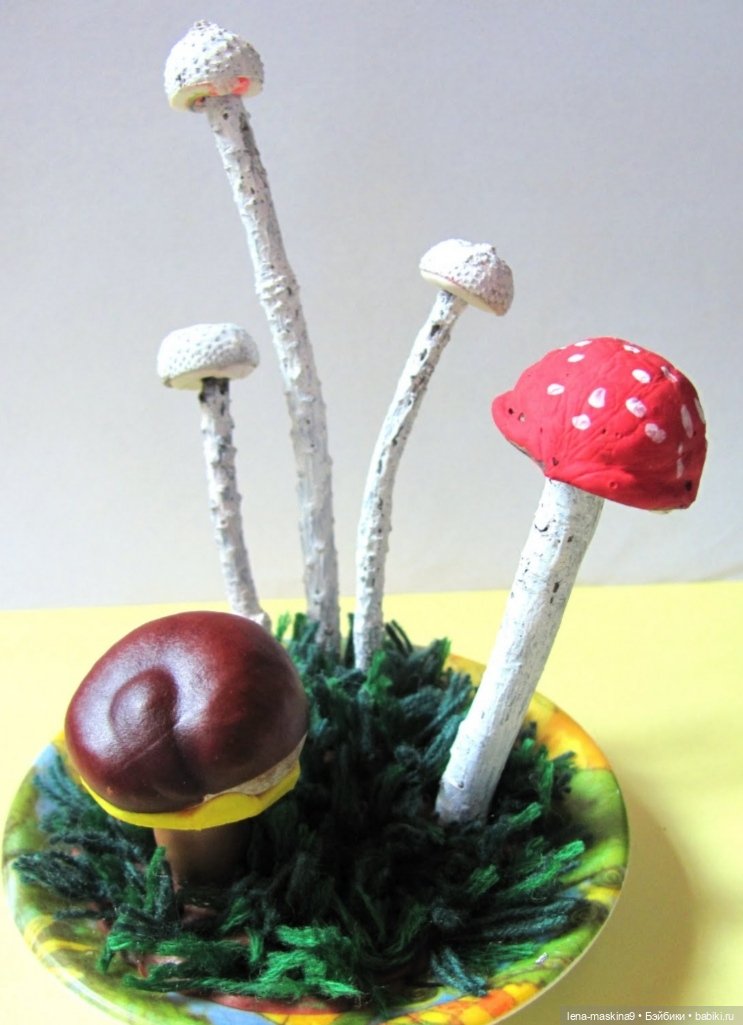 А Вы любите каштаны — Другие хобби и увлечения: сад