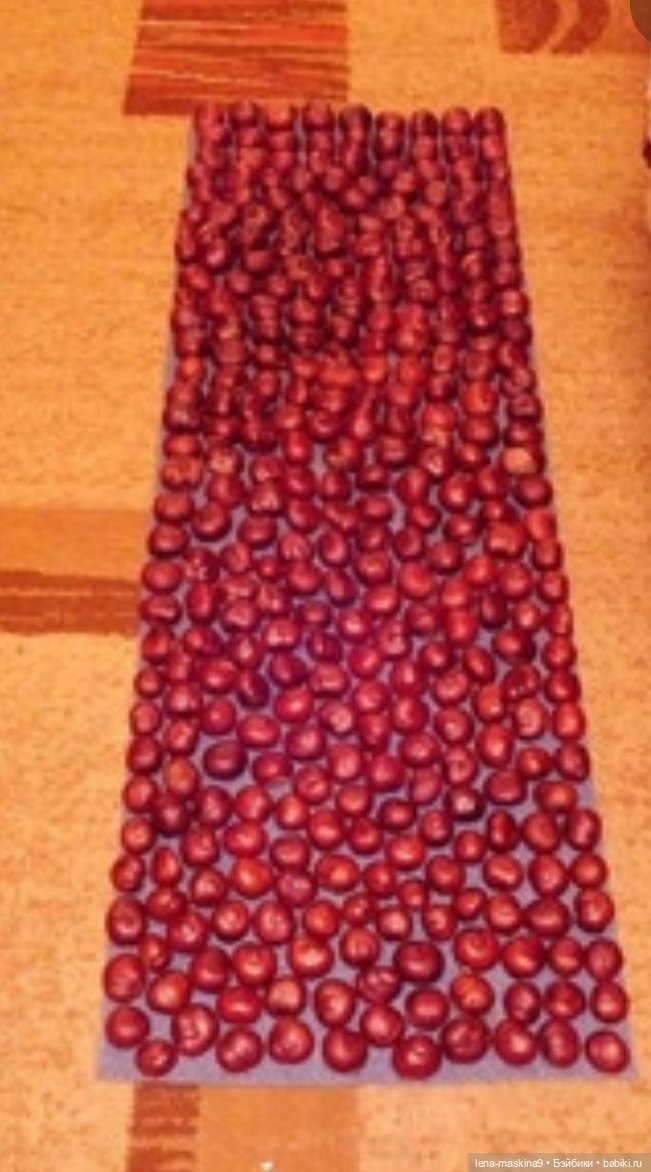 А Вы любите каштаны — Другие хобби и увлечения: сад