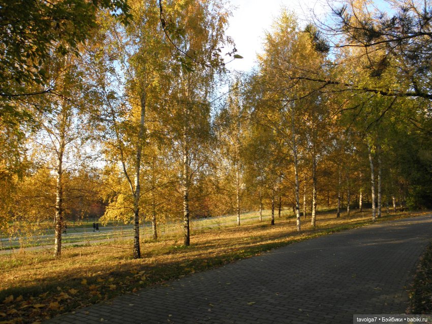 Mooqla Реи-Виктория и осенний аутфит моей работы (фото 2)