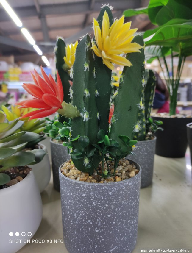 Прогулка в парк и Фикс- Прайс