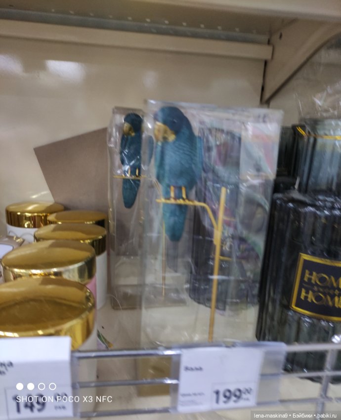 Прогулка в парк и Фикс- Прайс