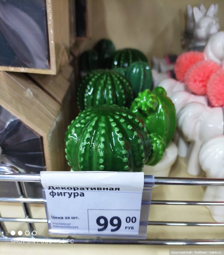 Прогулка в парк и Фикс- Прайс