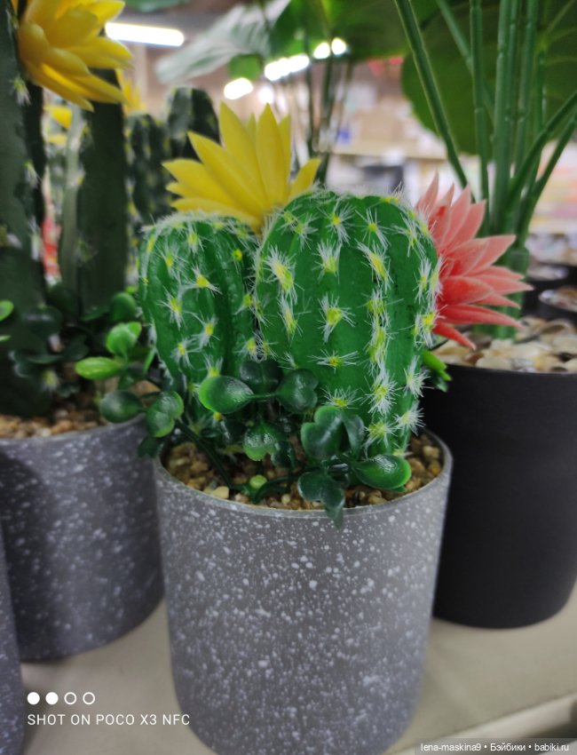 Прогулка в парк и Фикс- Прайс