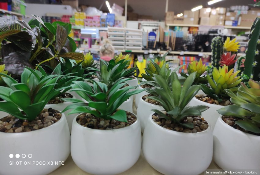 Прогулка в парк и Фикс- Прайс (фото 9)