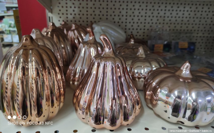 Прогулка в парк и Фикс- Прайс (фото 6)