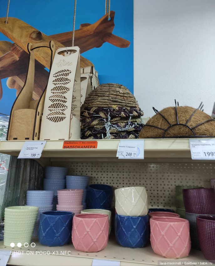 Прогулка в парк и Фикс- Прайс