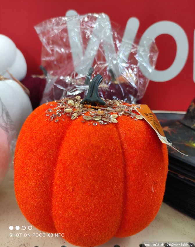 Прогулка в парк и Фикс- Прайс (фото 2)