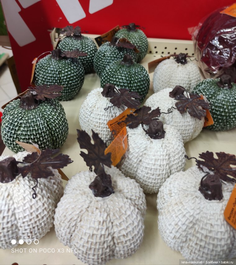 Прогулка в парк и Фикс- Прайс (фото 7)