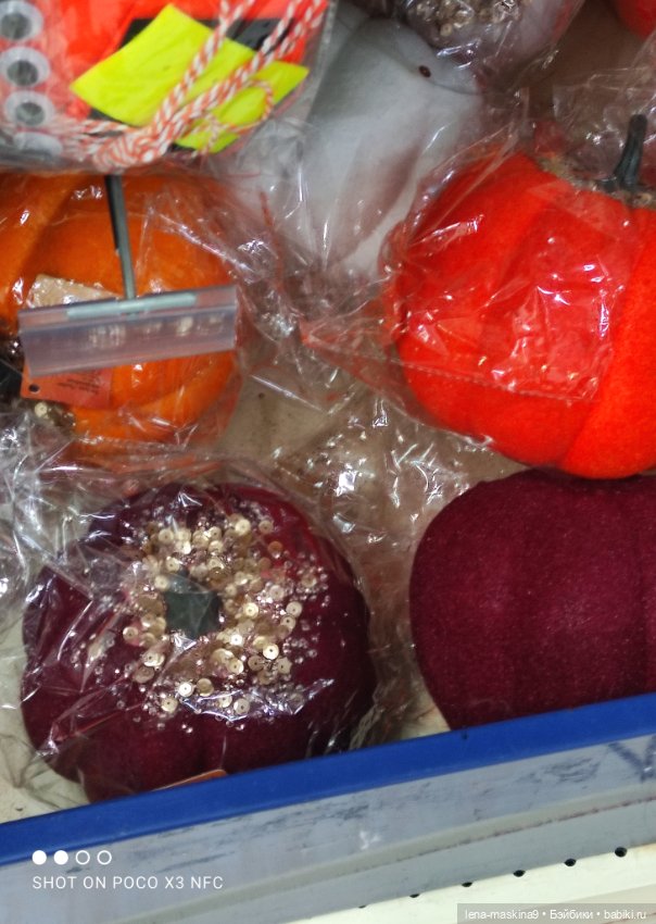 Прогулка в парк и Фикс- Прайс