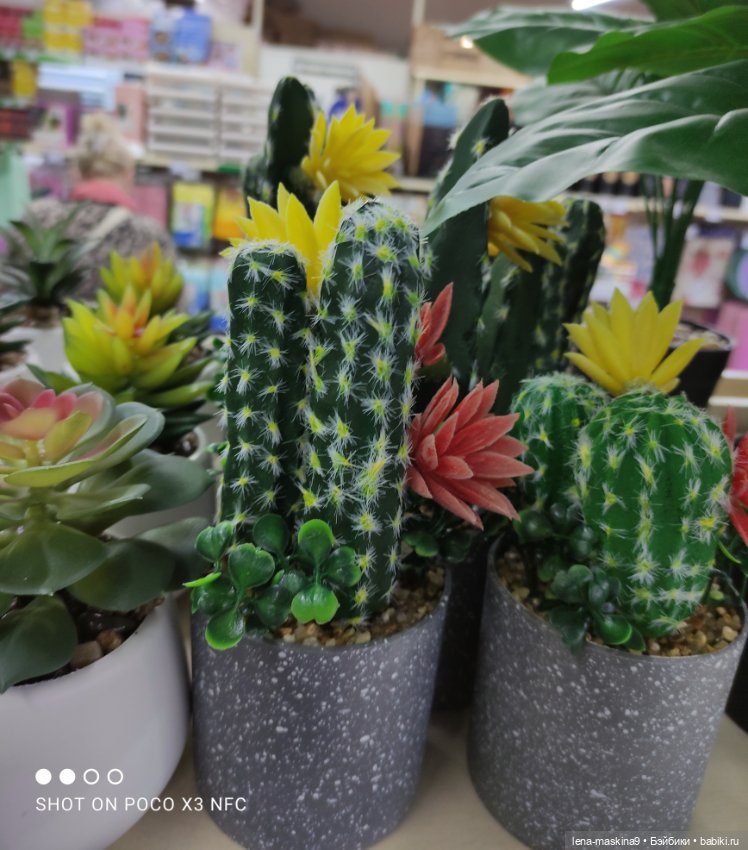 Прогулка в парк и Фикс- Прайс (фото 10)