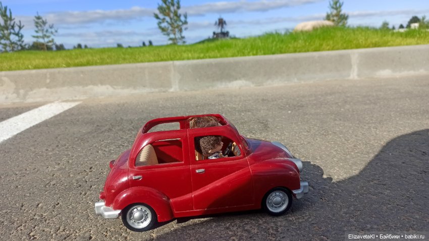 Памятник ледовому побоищу. Realpuki. 134 (фото 3)