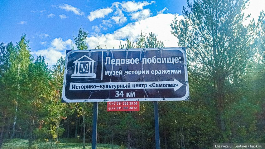 Памятник ледовому побоищу. Realpuki. 134 (фото 2)