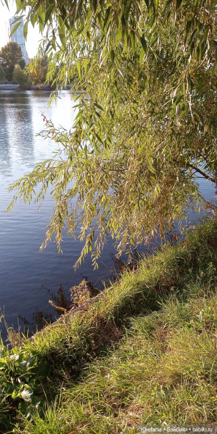 А на улице осень — Игровые куклы разных производителей (Разное): редкие бренды (фото 4)