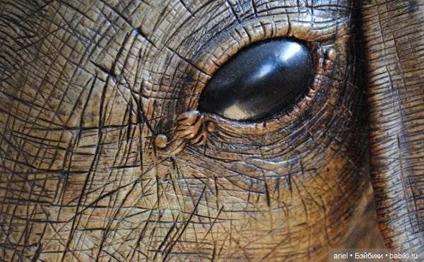 Сюрреализм в скульптуре Francesca Dalla Benetta