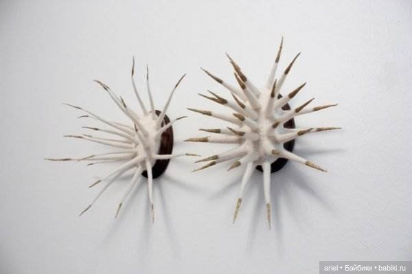 Скульптуры из шерсти от Zoe Williams (фото 4)