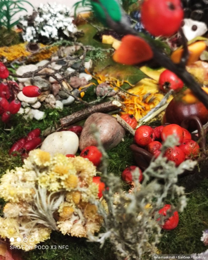 Осень- семейка ёжиков( заготовка на зиму)