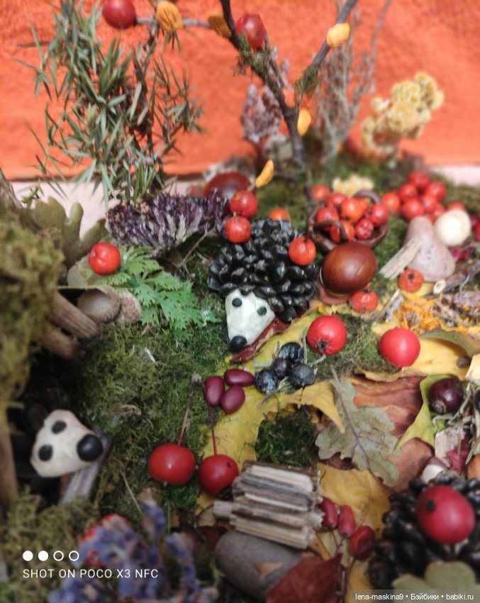 Осень- семейка ёжиков( заготовка на зиму)