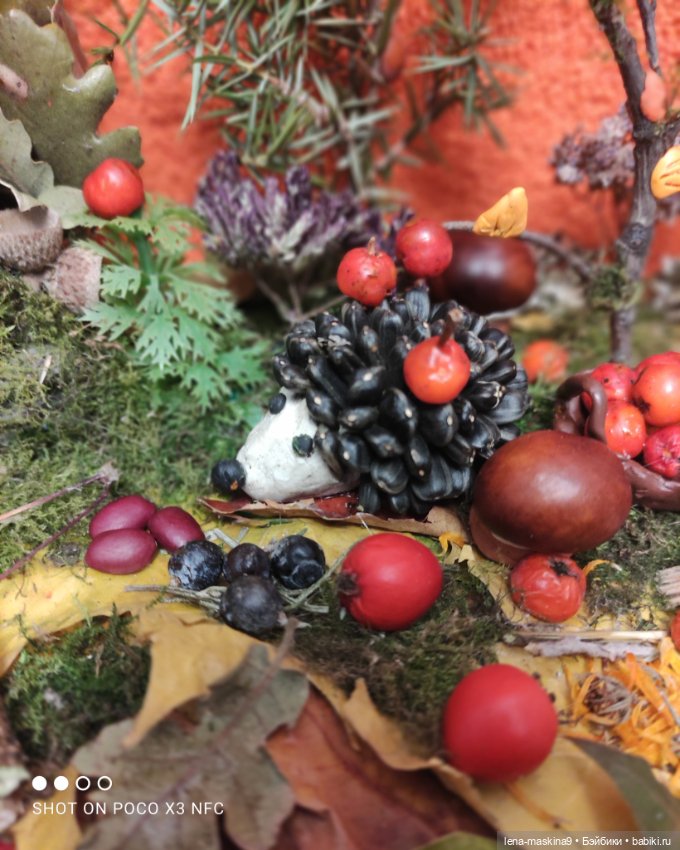 Осень- семейка ёжиков( заготовка на зиму)