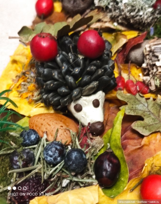 Осень- семейка ёжиков( заготовка на зиму)