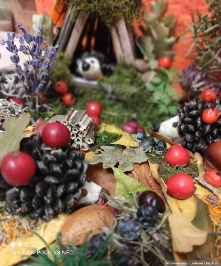 Осень- семейка ёжиков( заготовка на зиму)