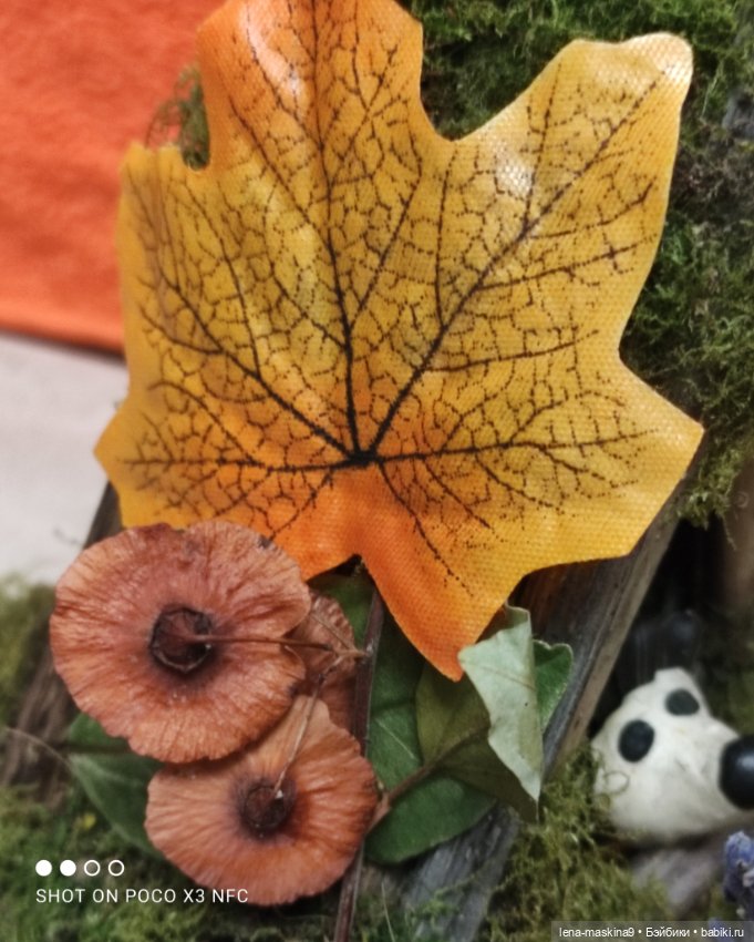 Осень- семейка ёжиков( заготовка на зиму)