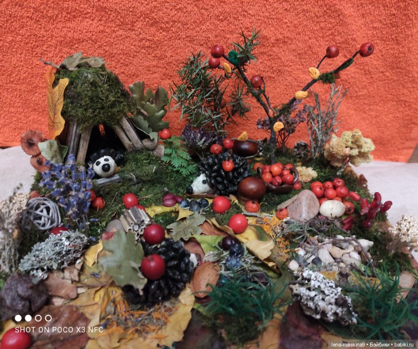 Осень- семейка ёжиков( заготовка на зиму) (фото 2)