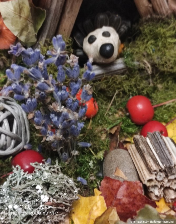 Осень- семейка ёжиков( заготовка на зиму)