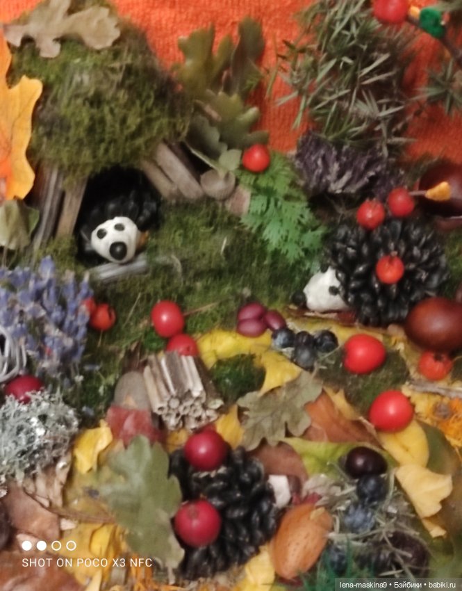 Осень- семейка ёжиков( заготовка на зиму)